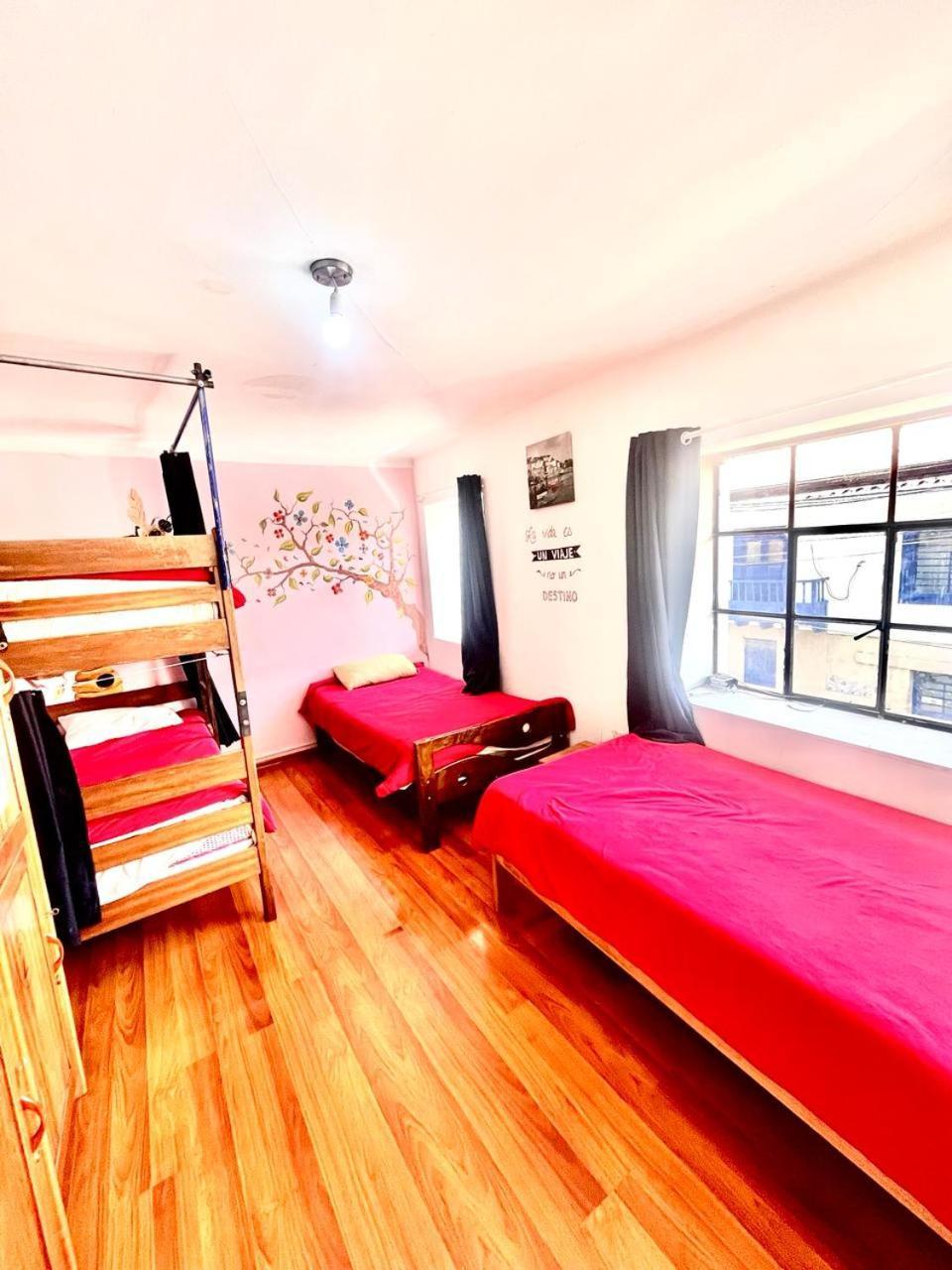 House Hostel Cusco